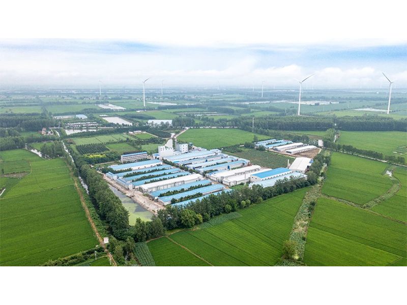 2023年中央一號(hào)文件出爐，畜禽產(chǎn)業(yè)應(yīng)抓住哪些新機(jī)遇？
