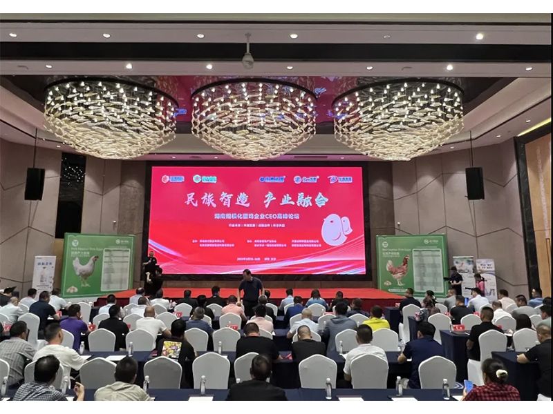 熱烈祝賀湖南規(guī)?；半u企業(yè)CEO高峰論壇取得圓滿成功！