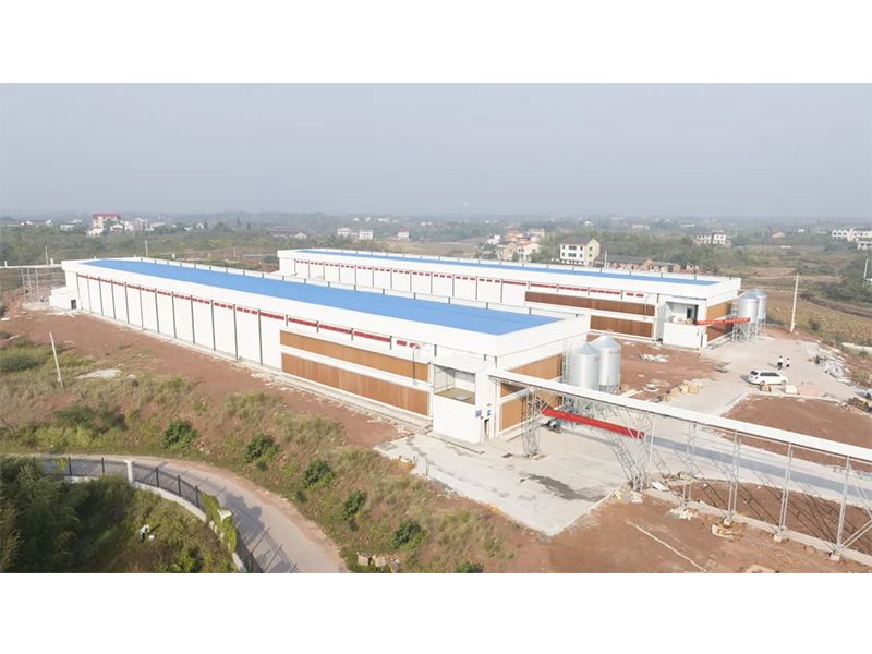 熱烈祝賀西南地區(qū)300萬羽蛋雞養(yǎng)殖基地驗收成功，上雞大吉！